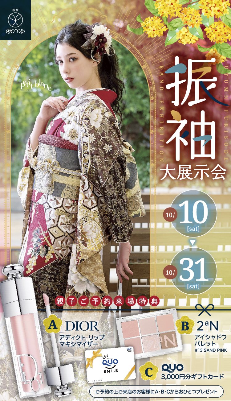 FV 画像