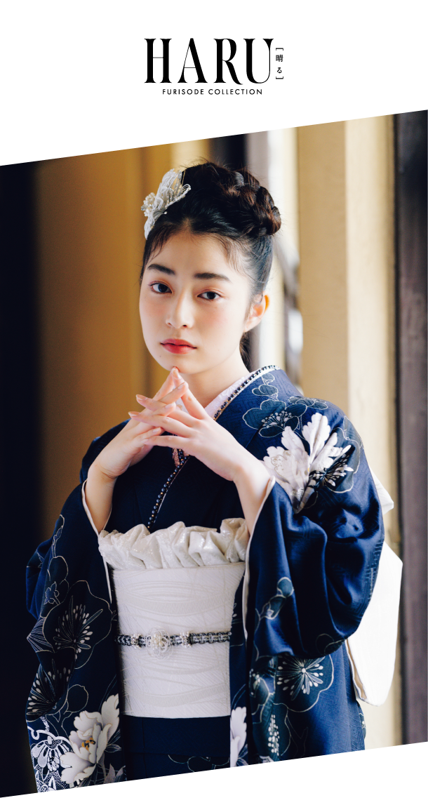 コレクション 画像4