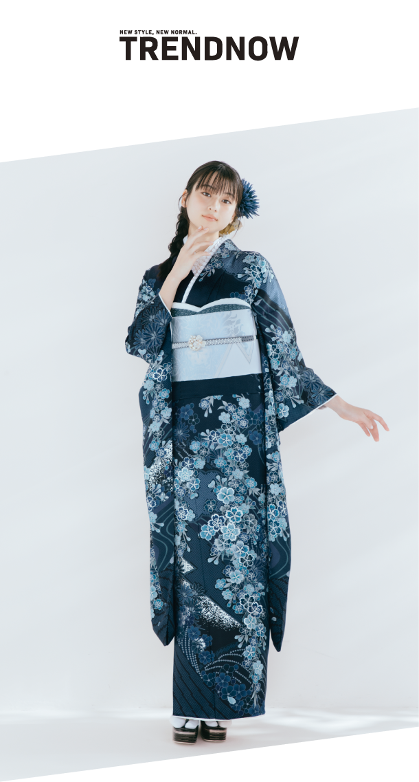 コレクション 画像5