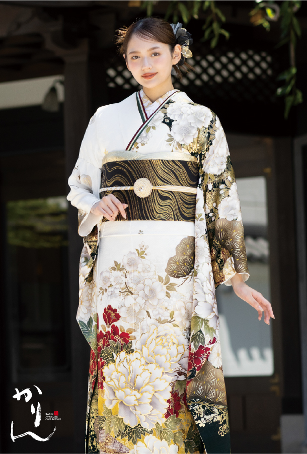コレクション 画像1