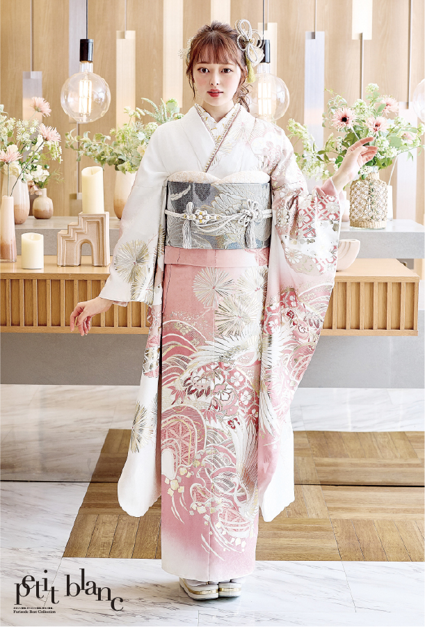 コレクション 画像2